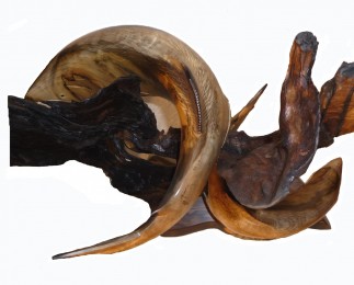 Curved Salmon